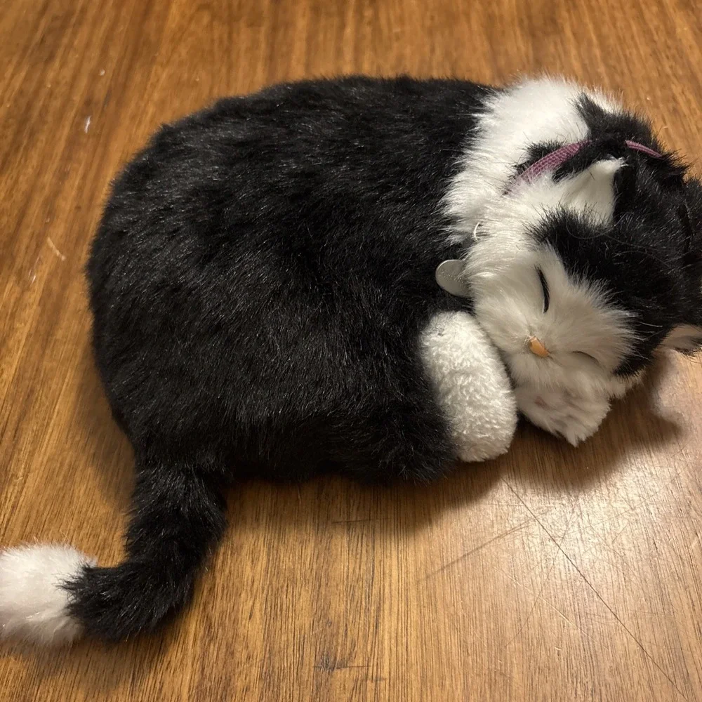 Perfect Petzzz preowned good